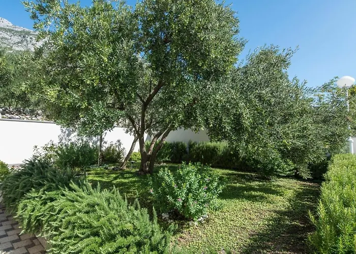 Nasa Kuca - Adults Only Bed and Breakfast 4*